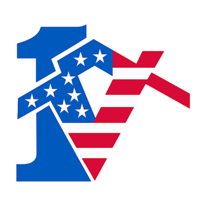 1 Vision USA Security logo